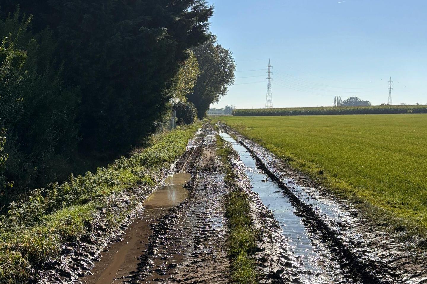 MUDCAP's work on field