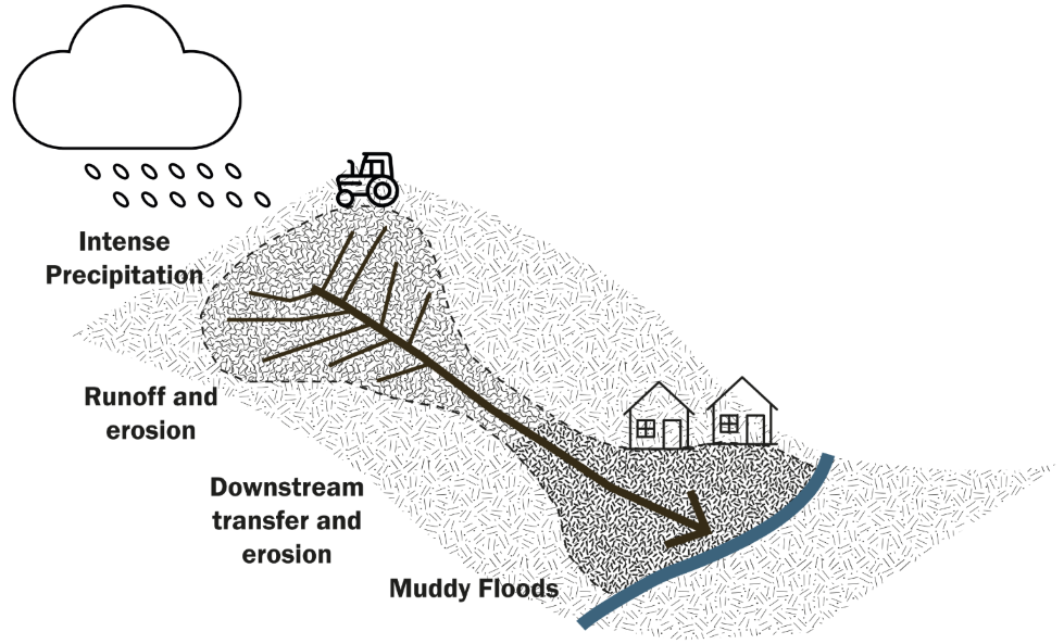 Sketch of a Pluvial Muddy Flood (PMF)