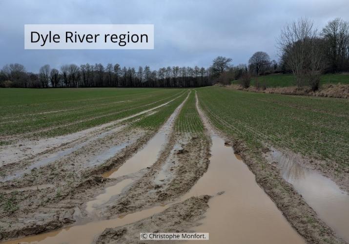 Muddy Flood in the Dyle River region, Belgium