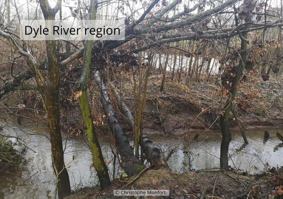 Muddy Flood in the Dyle River region, Belgium